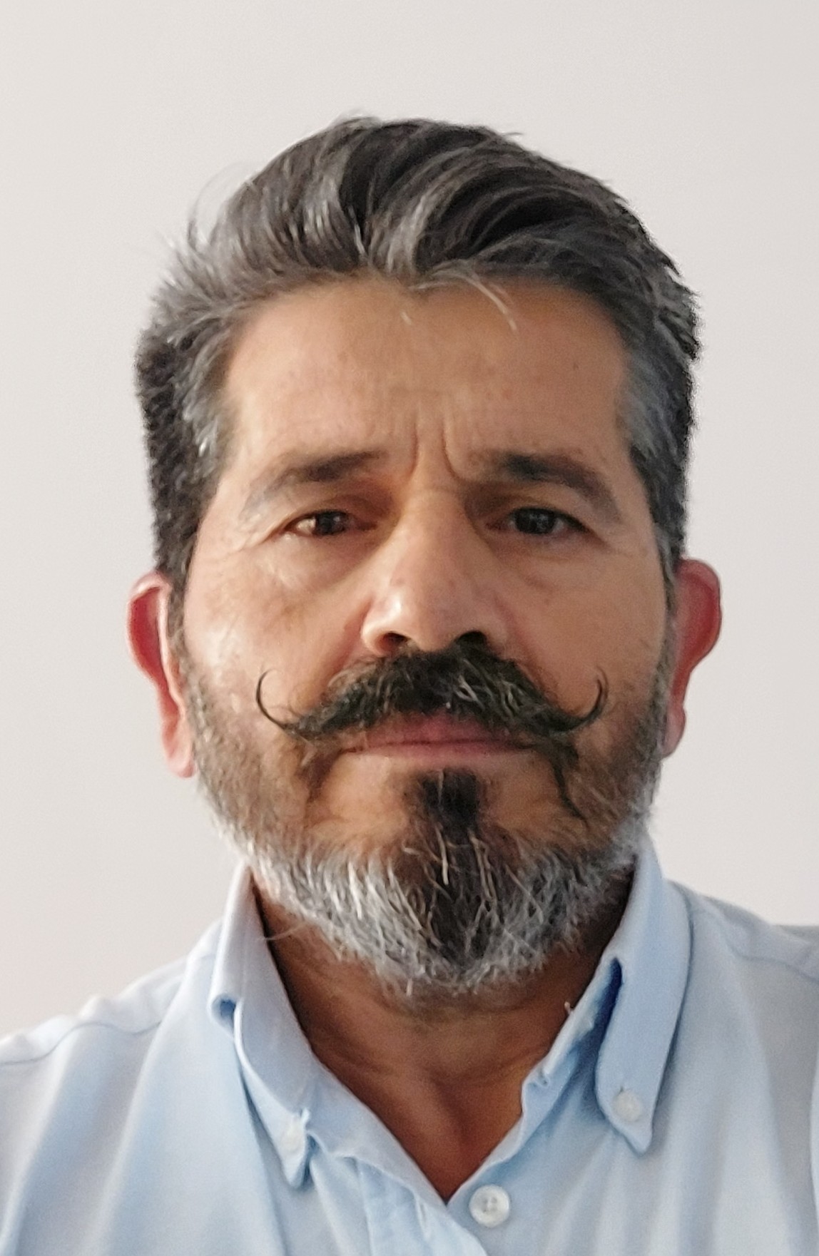 Profile picture for user VirgilioMarques