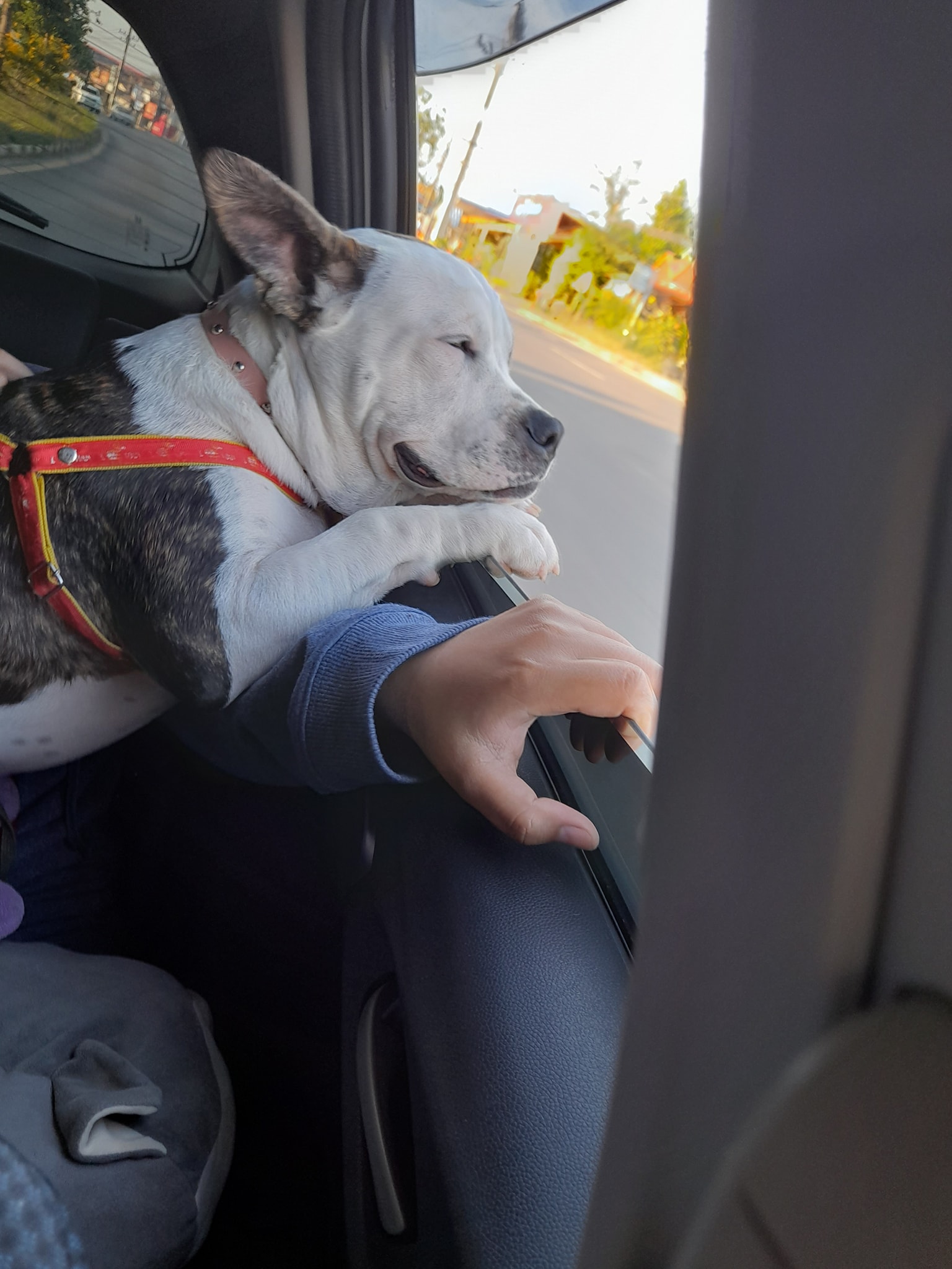 Profile picture for user Supattra19099123