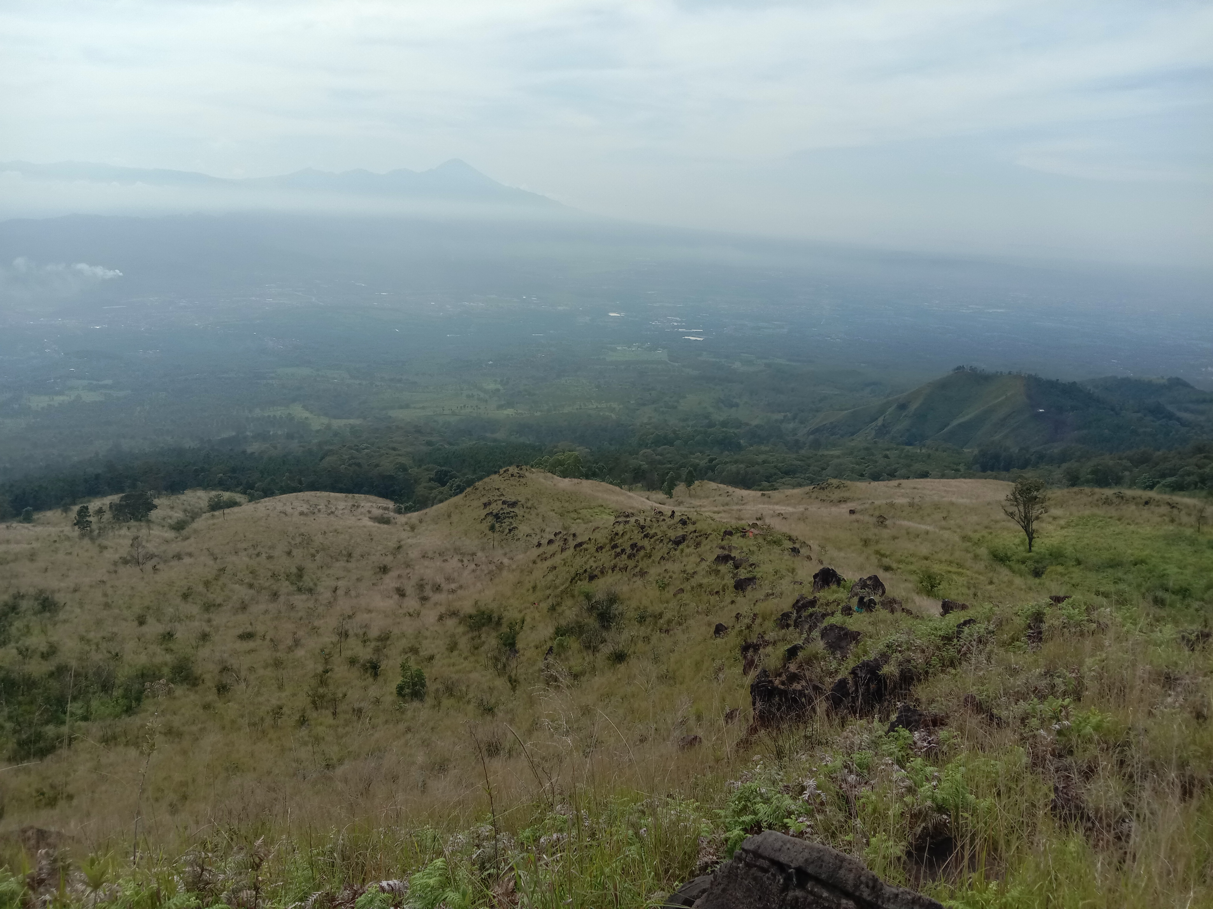 Profile picture for user Rahmawatilaela9988