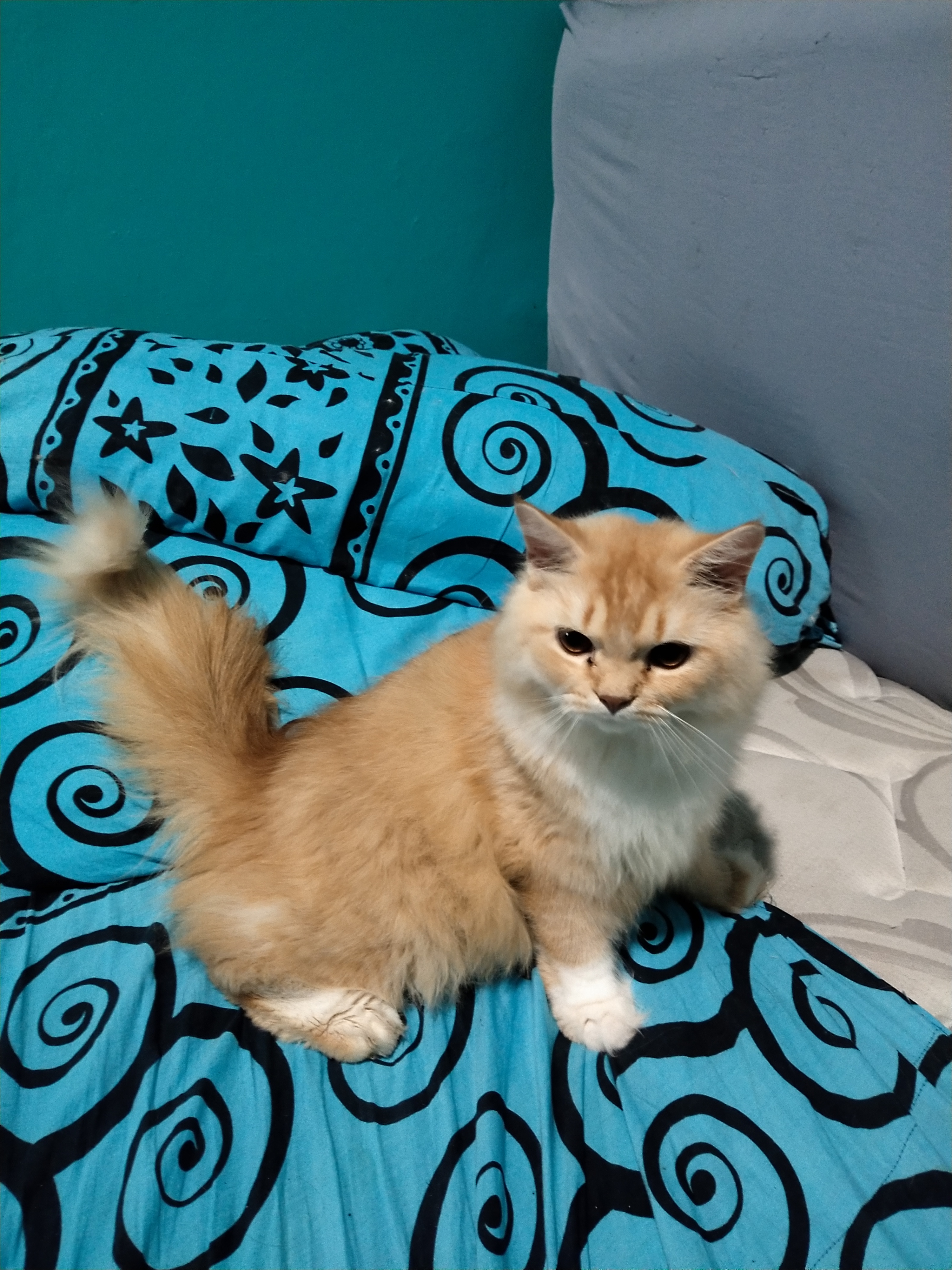 Profile picture for user pws19