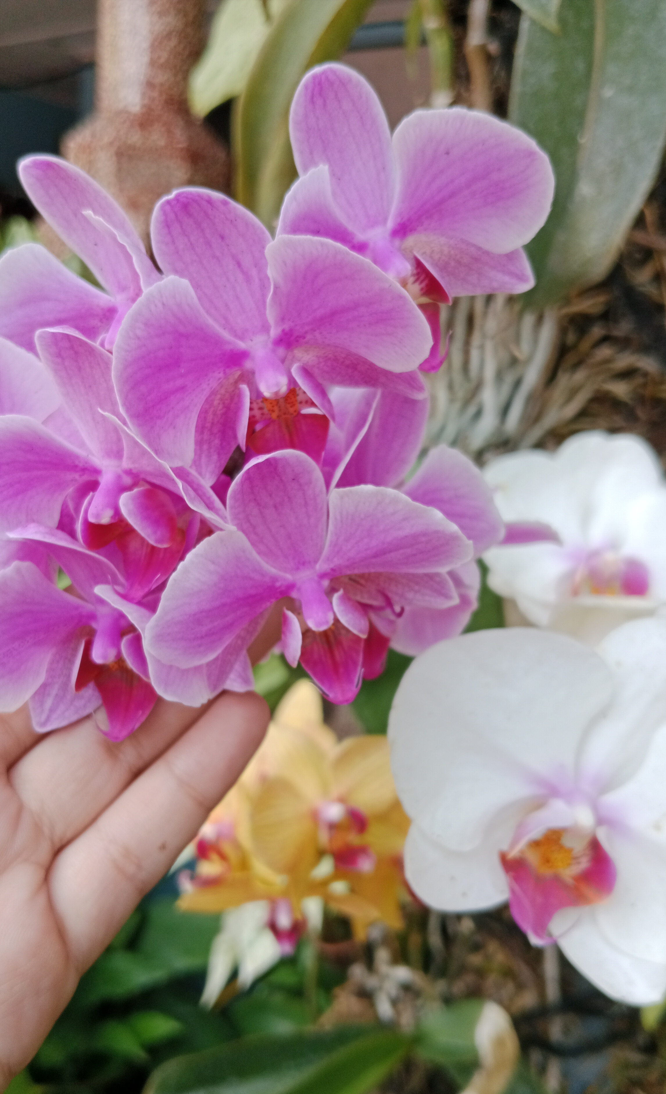 Profile picture for user Dewi_Ratna_Sari