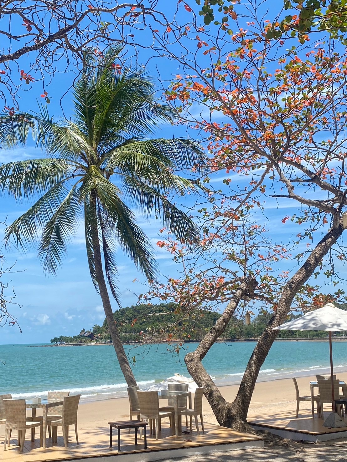 Profile picture for user Tippaawan97