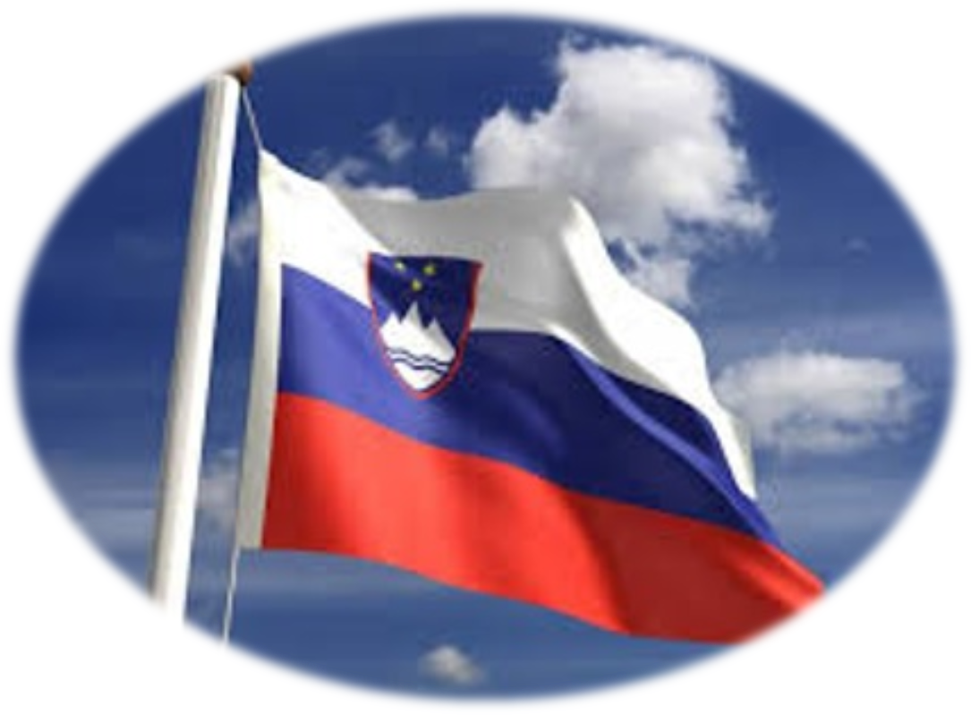 Profile picture for user IMI_teacher