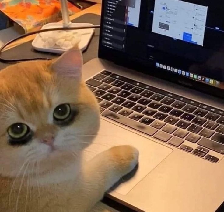 Profile picture for user FAHRIZA-SENSEI