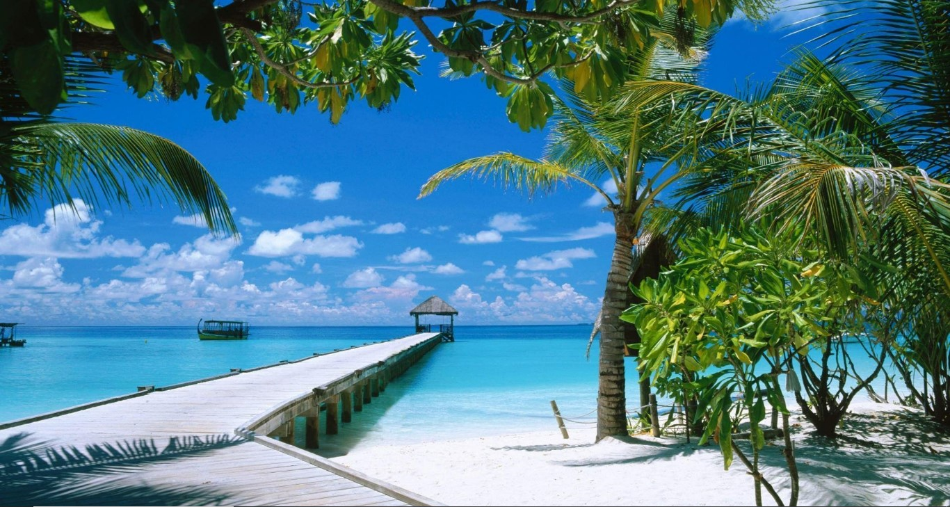 Profile picture for user Ramzy159