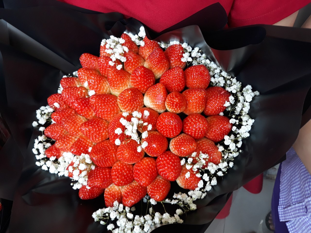 Profile picture for user tha-huynh