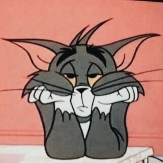 Profile picture for user Fatima2456