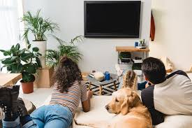 Profile picture for user dcastrillonheredia