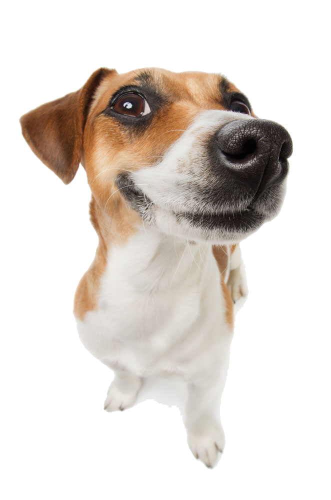 Profile picture for user rogerbz19