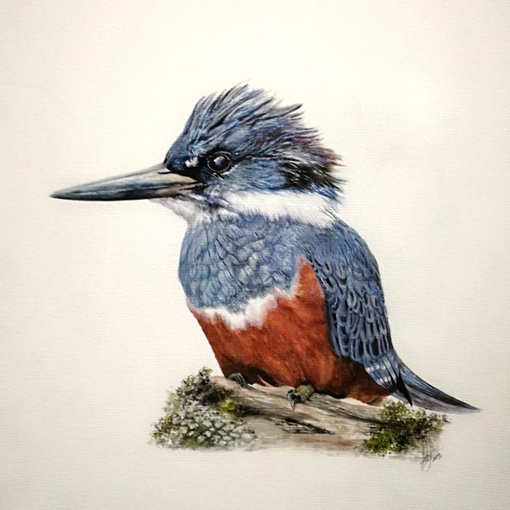 Profile picture for user melonsandia