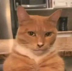 Profile picture for user JaCo_02