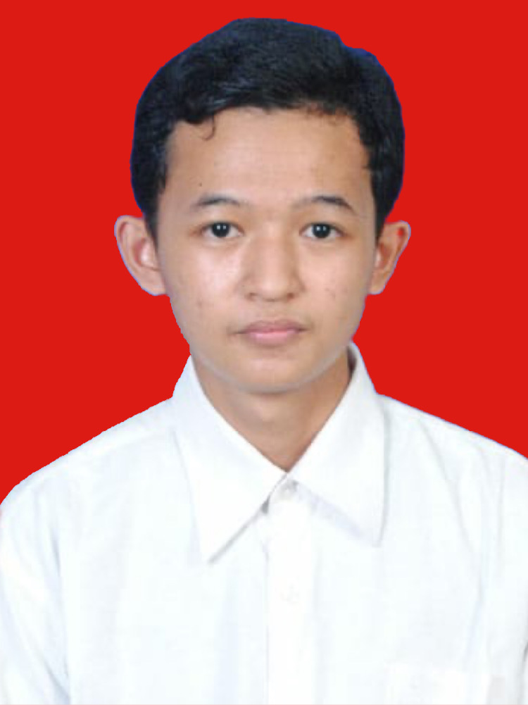 Profile picture for user ibnubimo