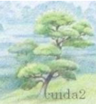 Profile picture for user Cuida2