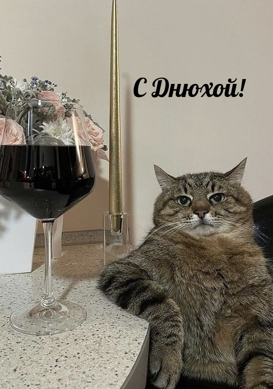 Profile picture for user Masha9900