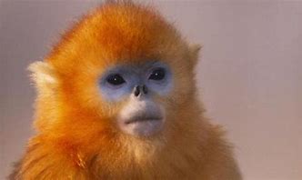 Profile picture for user SchoolAccount