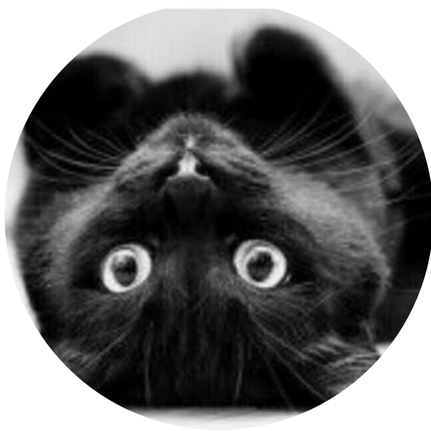 Profile picture for user carmennoa