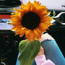 Profile picture for user jabano