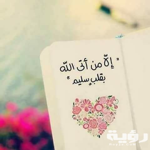 Profile picture for user eman36