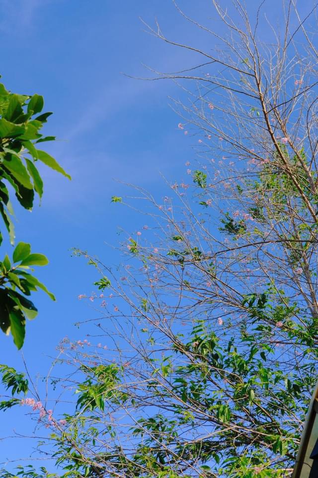 Profile picture for user TienHuynh_499