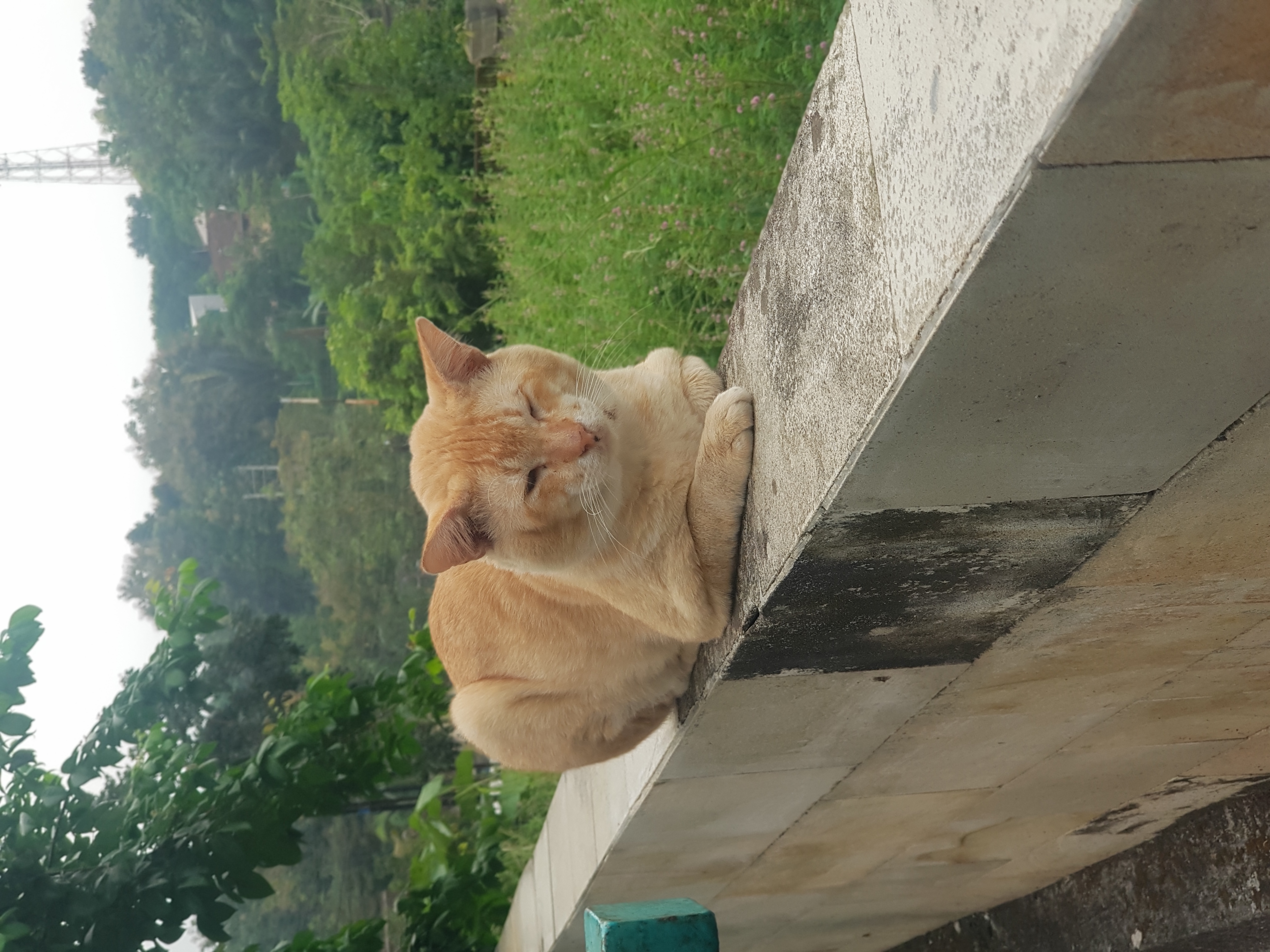 Profile picture for user Adiyatno11