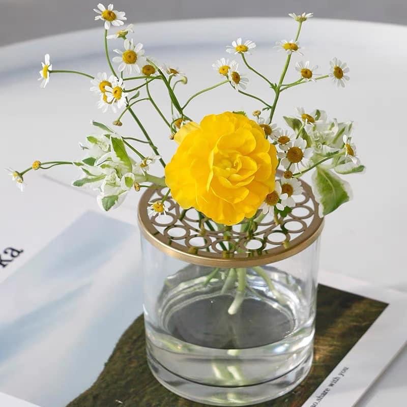 Profile picture for user hachudtd