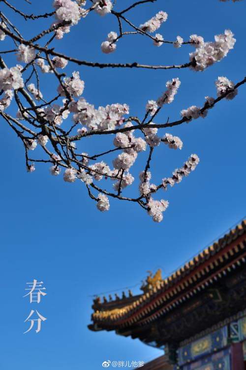 Profile picture for user Sunshine_m07