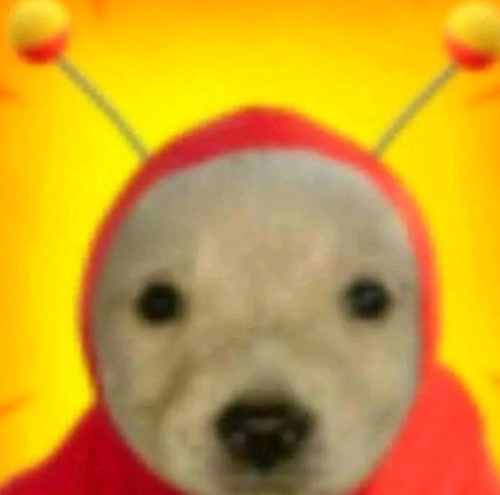 Profile picture for user rodri000123