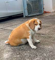 Profile picture for user MMoomay