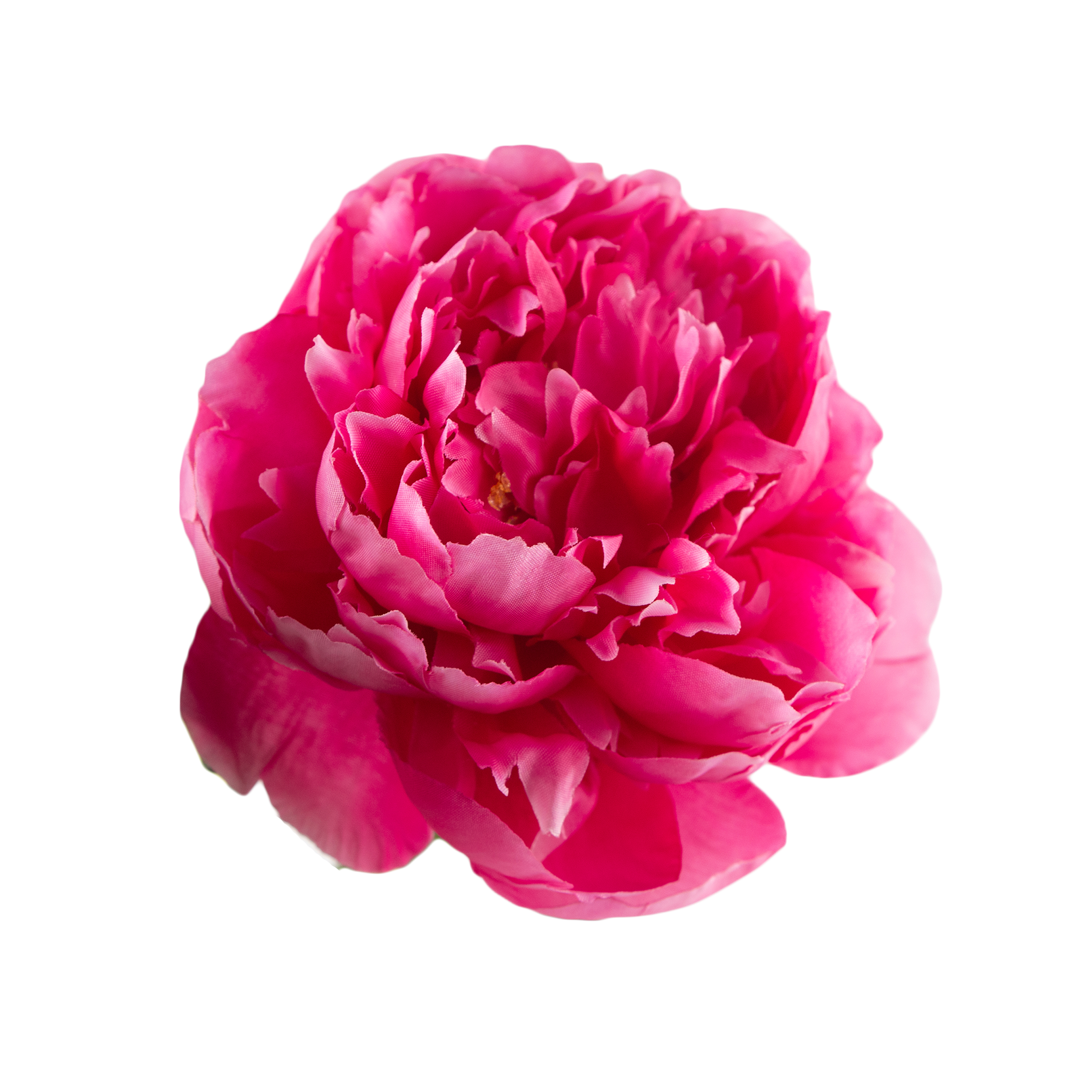 Profile picture for user taheralqussas