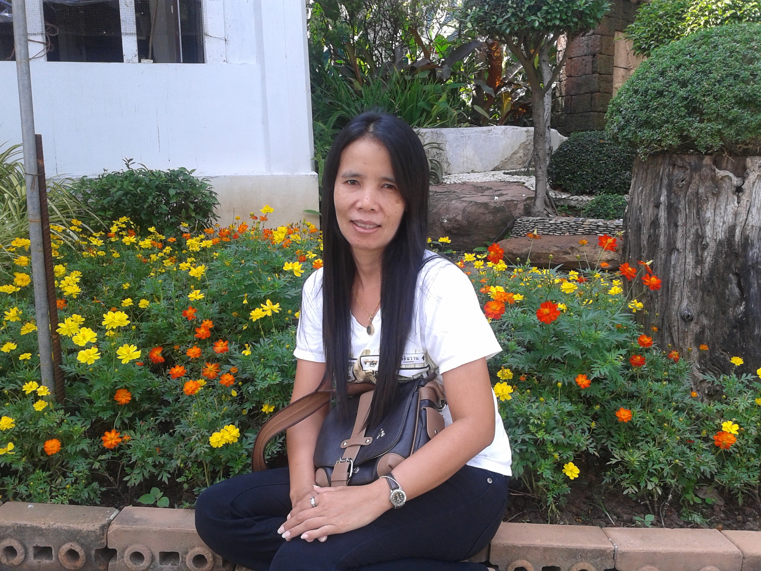 Profile picture for user panisa8552