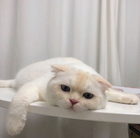 Profile picture for user Thitima0194