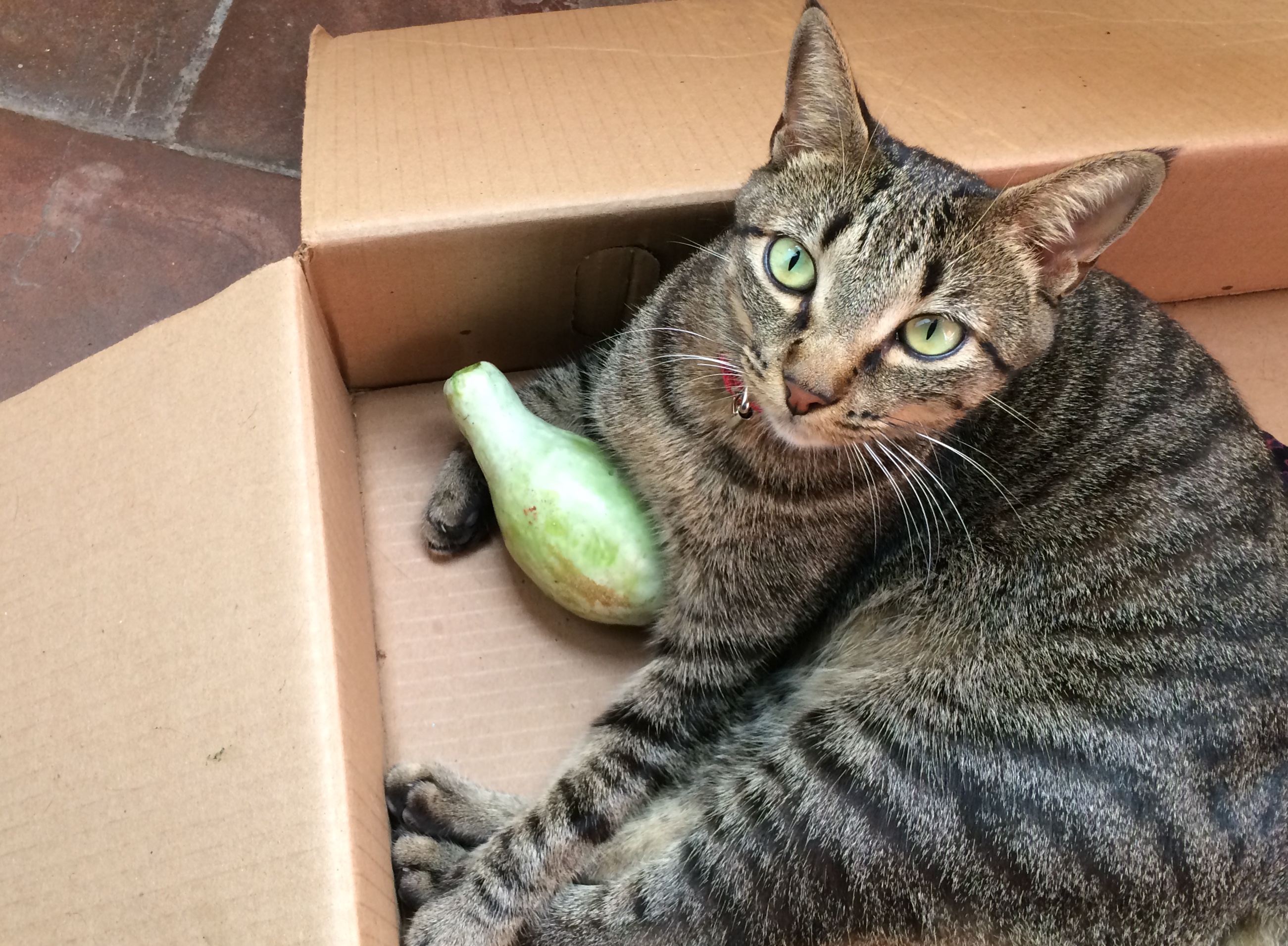 Profile picture for user Kristellrg