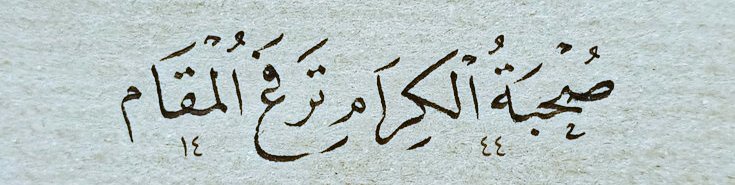 Profile picture for user abdulmuhsin