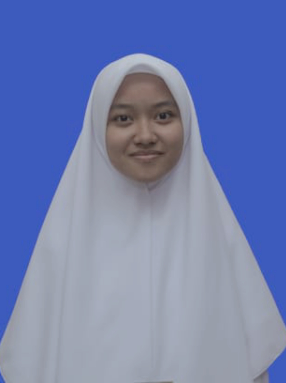 Profile picture for user husnulft