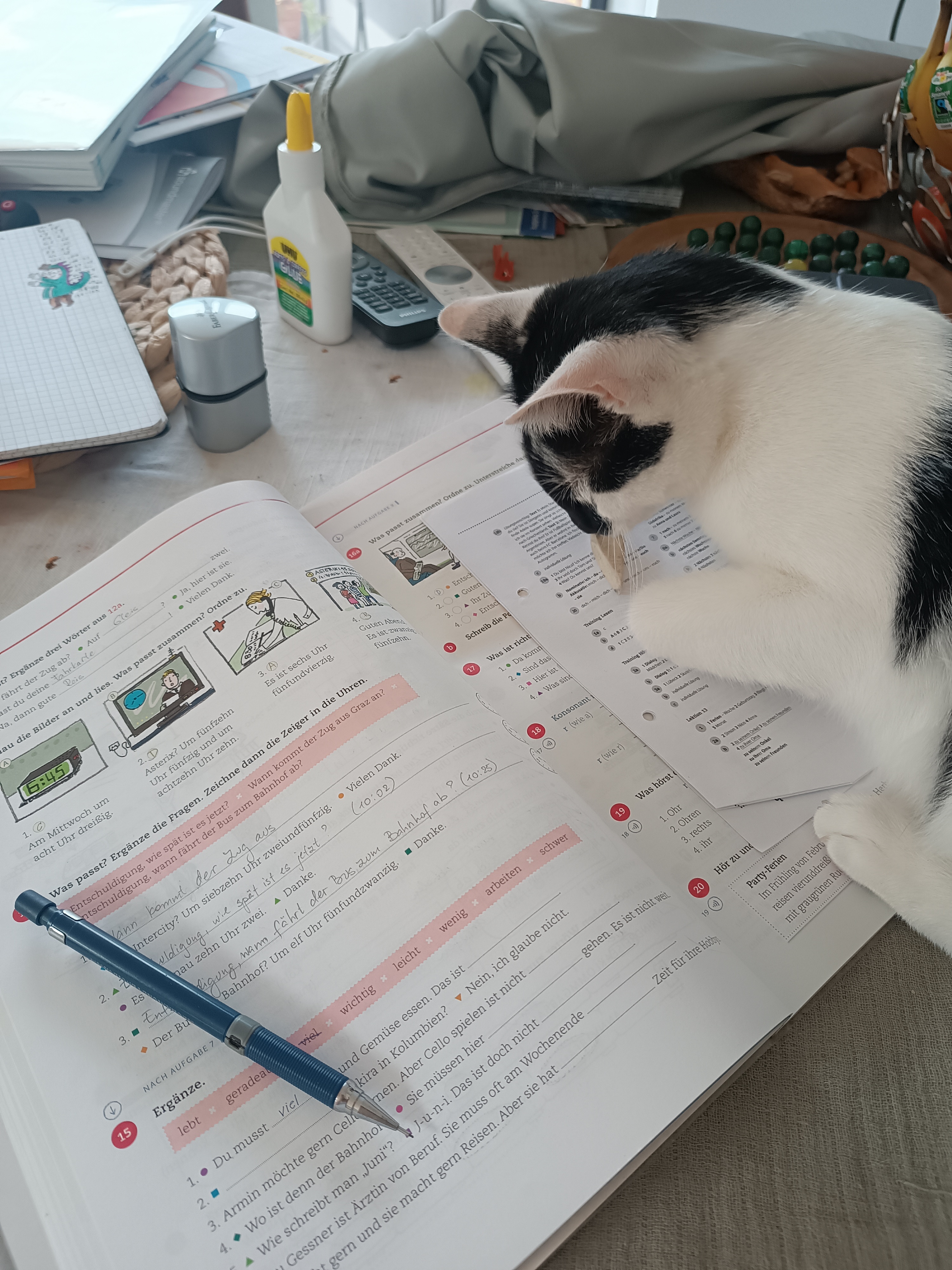 Profile picture for user Olesiafromkiev