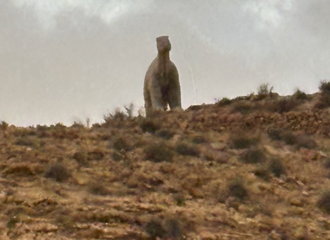 Profile picture for user Anto007