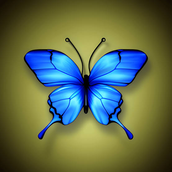 Profile picture for user leydi_ramos