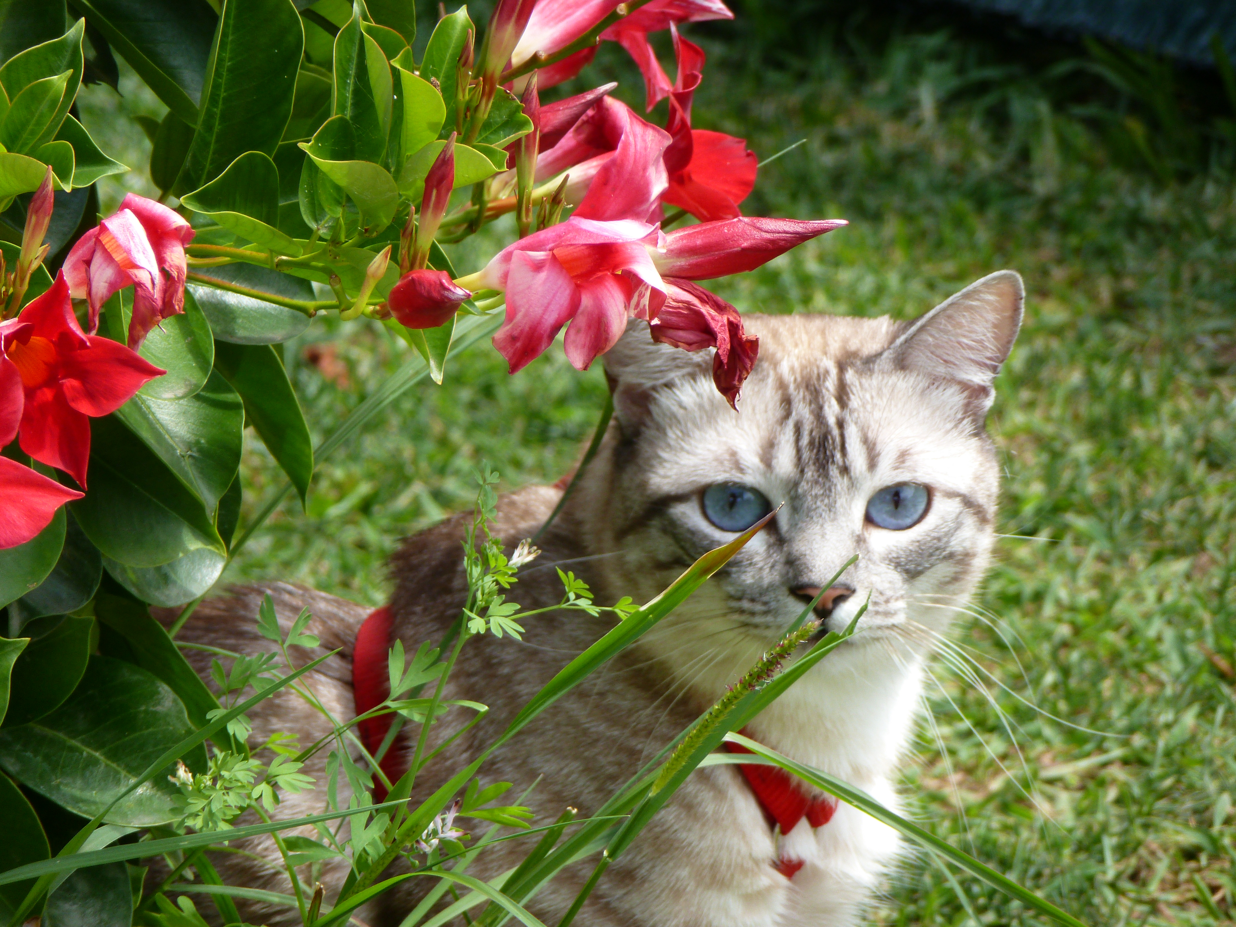 Profile picture for user LuciaHR