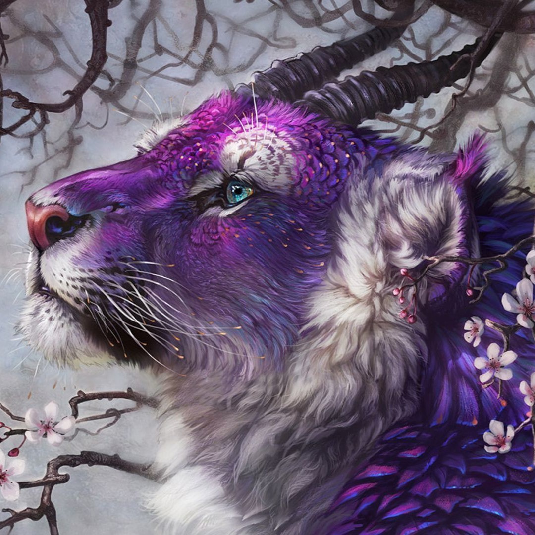 Profile picture for user CamiB