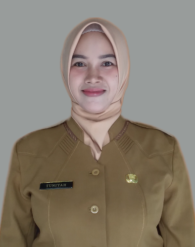 Profile picture for user niaruslan