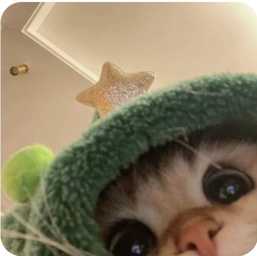 Profile picture for user anisafifazman