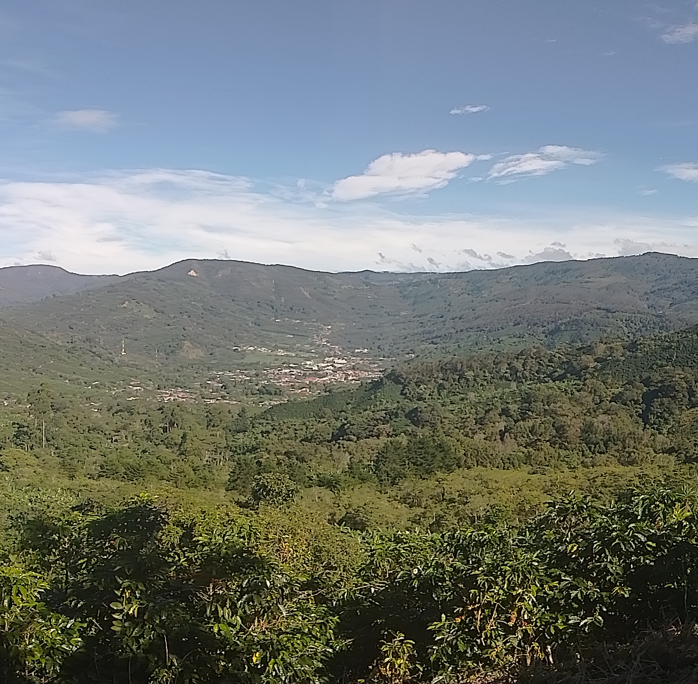 Profile picture for user helenlucia1004