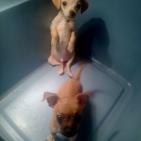 Profile picture for user Teacherale20