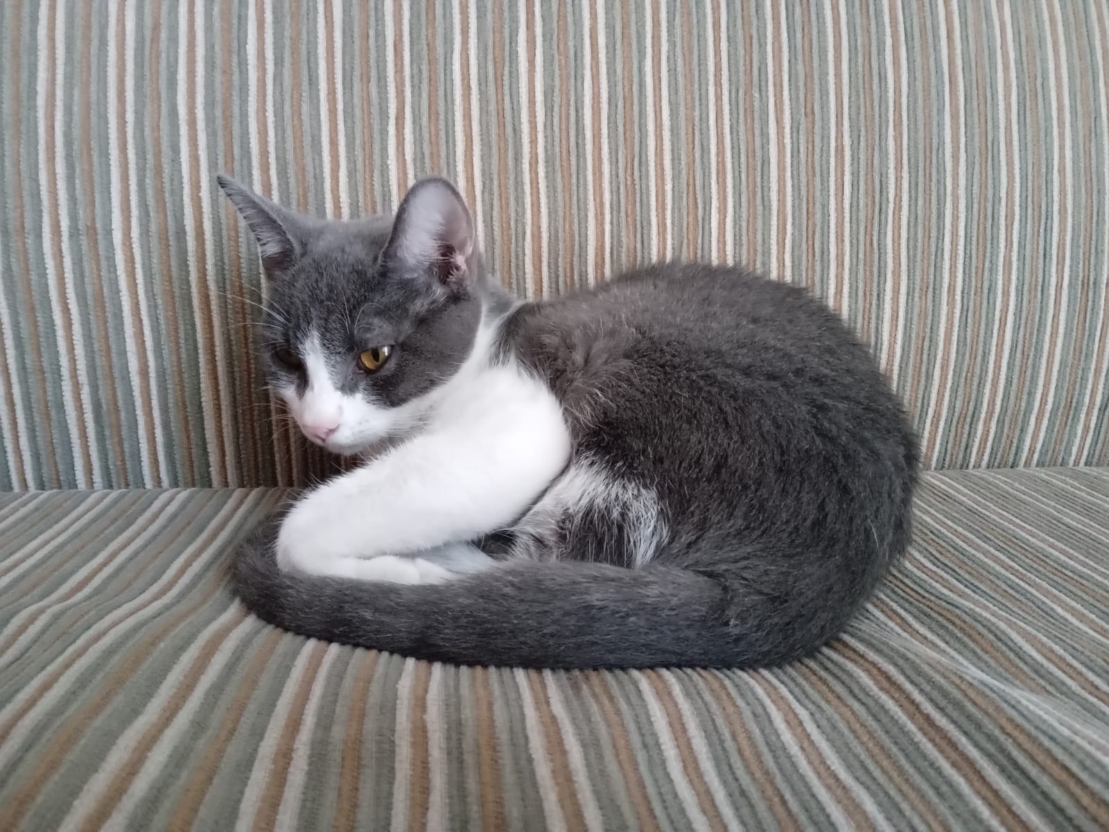 Profile picture for user Profe_Victor_CNYNL