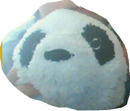 Profile picture for user ZamoraDylan26