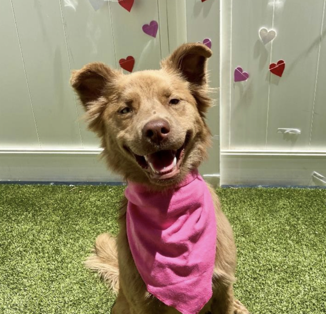 Profile picture for user caburden1781