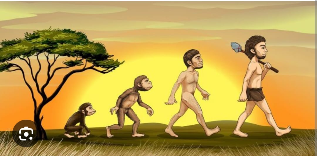 Profile picture for user Monicastudent