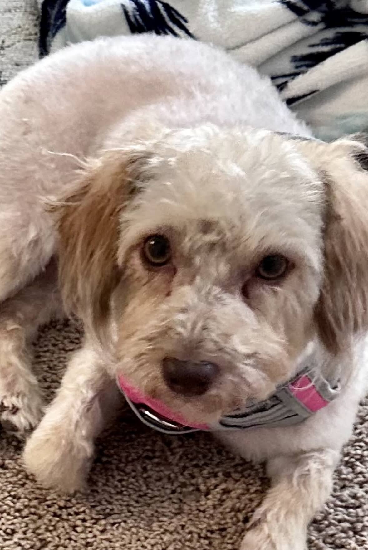 Profile picture for user MalindaLangford