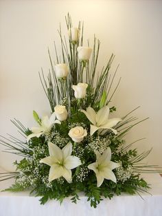 Profile picture for user 1221coemm