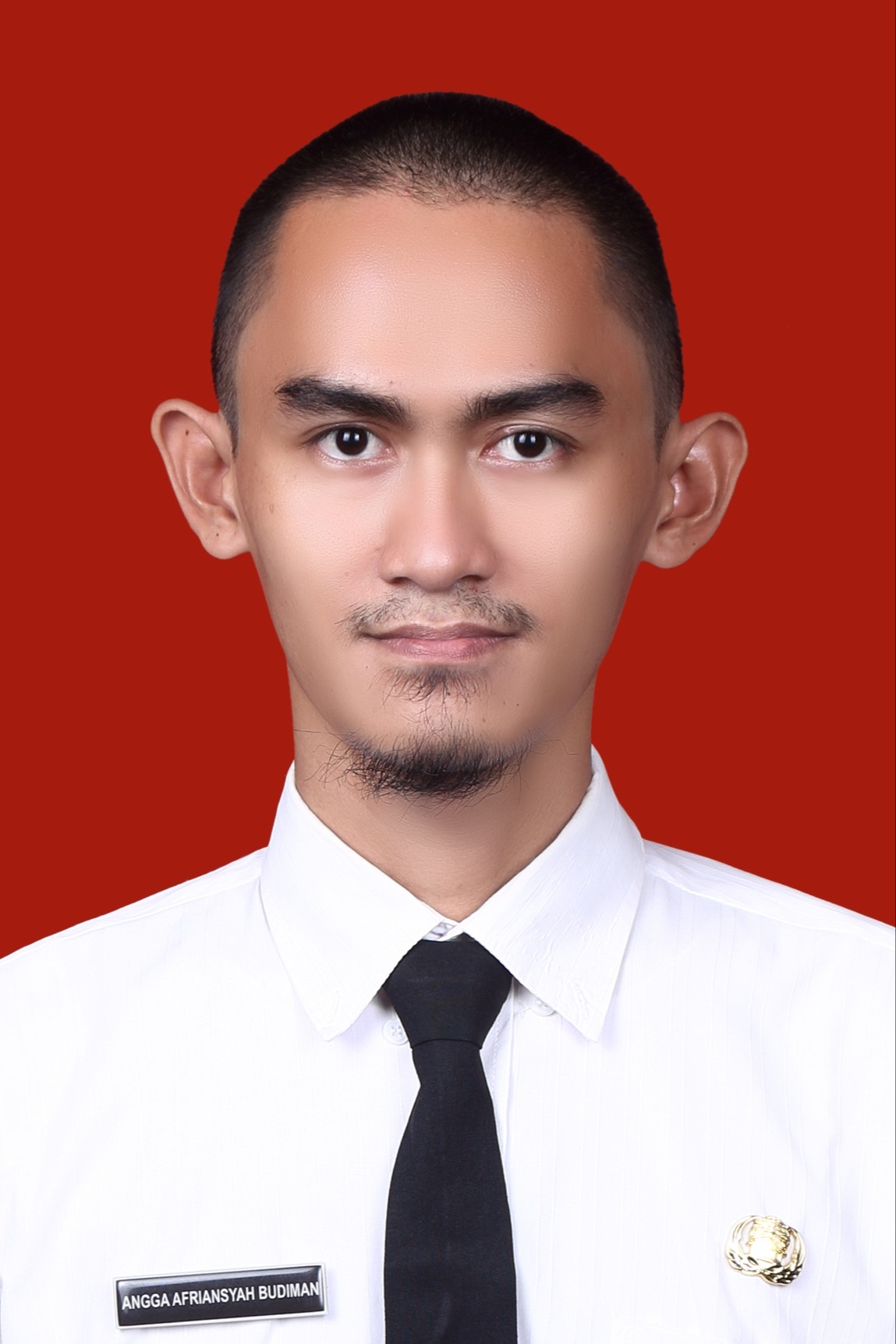 Profile picture for user affreez